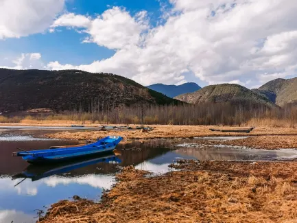 위닝 카지노 모바일 앱